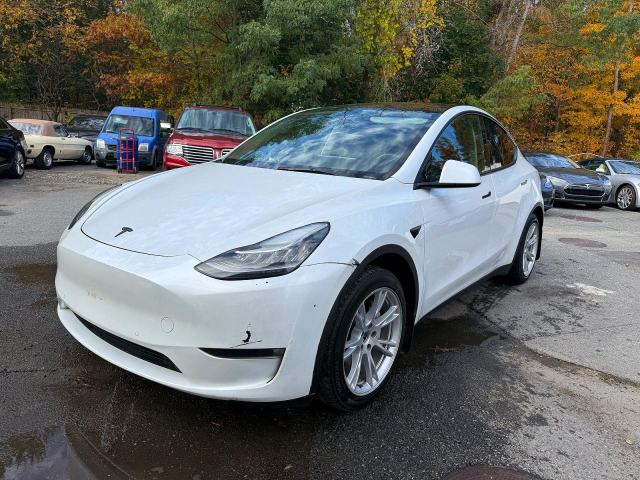 2021 Tesla Model Y, VIN 5YJYGDEE5MF295078. Фото 2 з 6 з аукціону Copart. Каталог авто зі США OpenDataCar.
